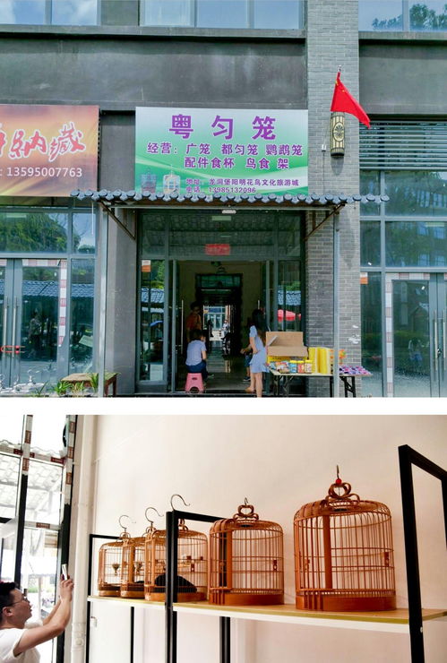 陽明花鳥文旅城鳥具業(yè)態(tài)區(qū)黃金旺鋪 邀您共享商機 錢 景