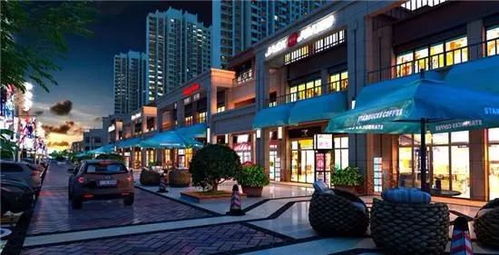 安陽(yáng)想把日子過(guò)成詩(shī),鎖定 東府全臨街商鋪